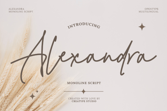 Alexandra: The Handwritten Font That Feels Like a Personal Note