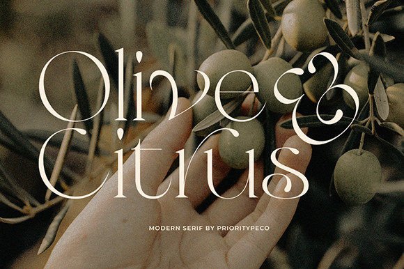 Olive & Citrus: Where Classic Elegance Meets Modern Branding